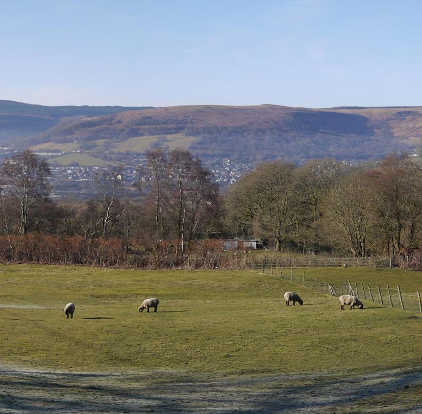 Tunnel Cottages At Blaen-Nant-Y-Groes Farm Aberdare Exterior foto