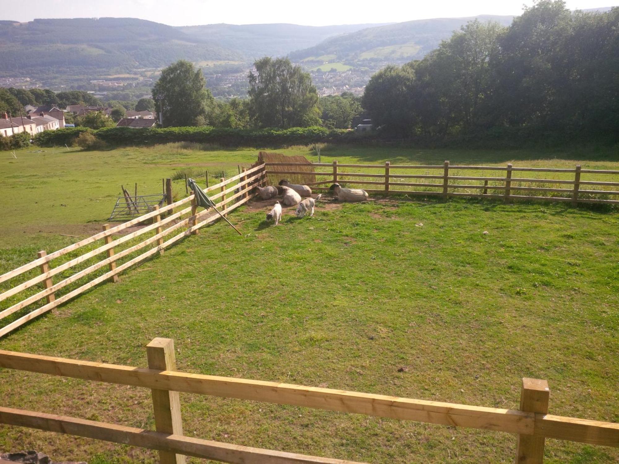 Tunnel Cottages At Blaen-Nant-Y-Groes Farm Aberdare Quarto foto