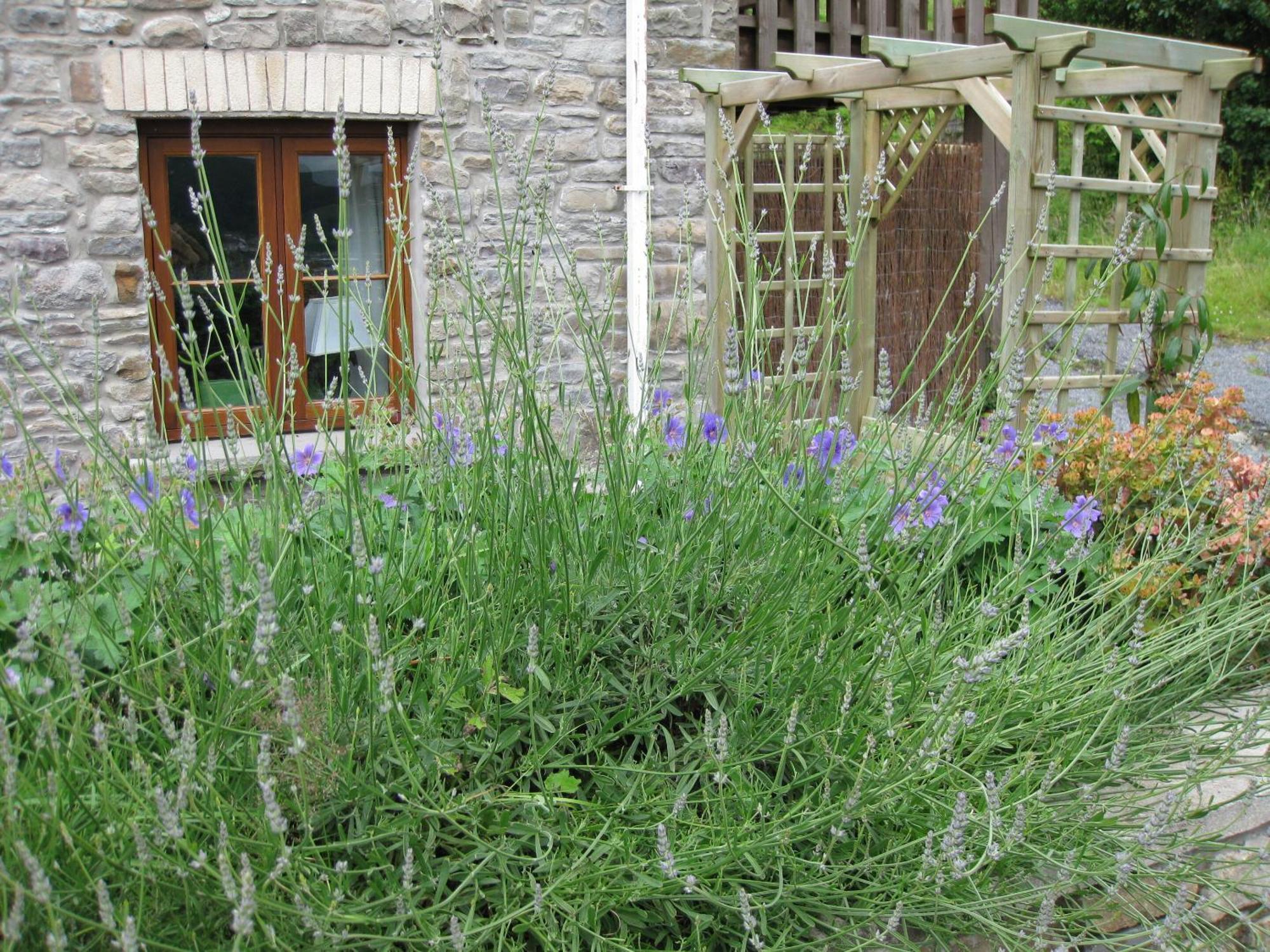Tunnel Cottages At Blaen-Nant-Y-Groes Farm Aberdare Quarto foto